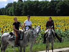 France-Loire-Loire Castles Escape Ride